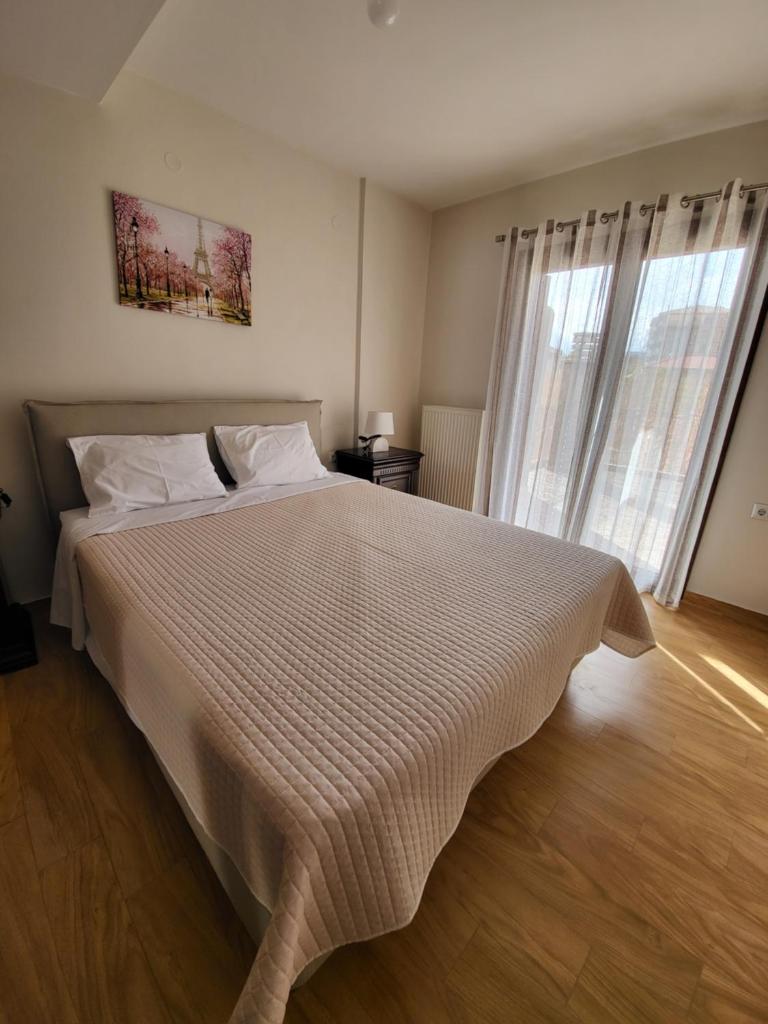 Αρτέμιδα plus Karpenisi Apartment photo 2