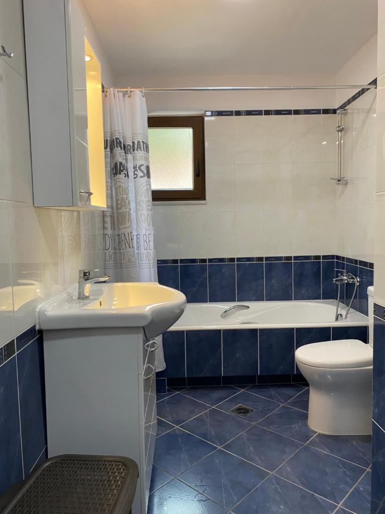 Αρτέμιδα plus Karpenisi Apartment photo 4