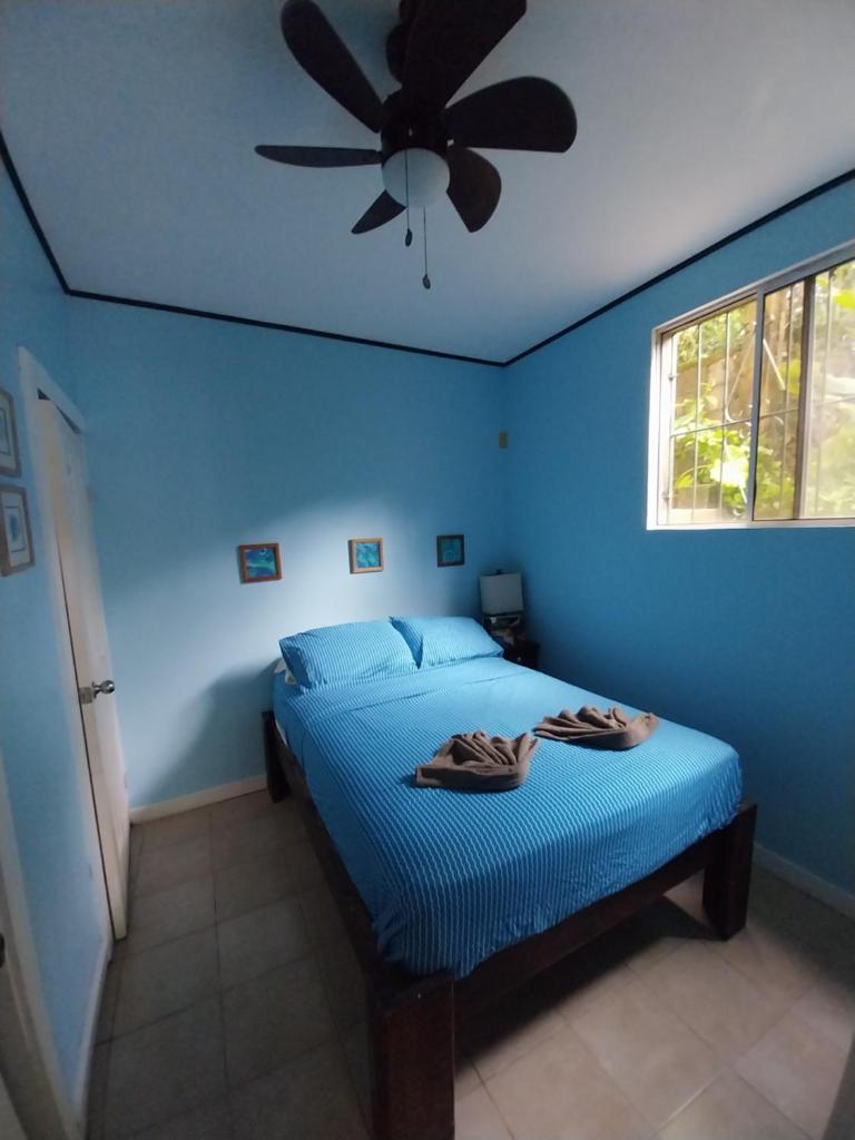 Roatan Backpackers' Hostel photo 2