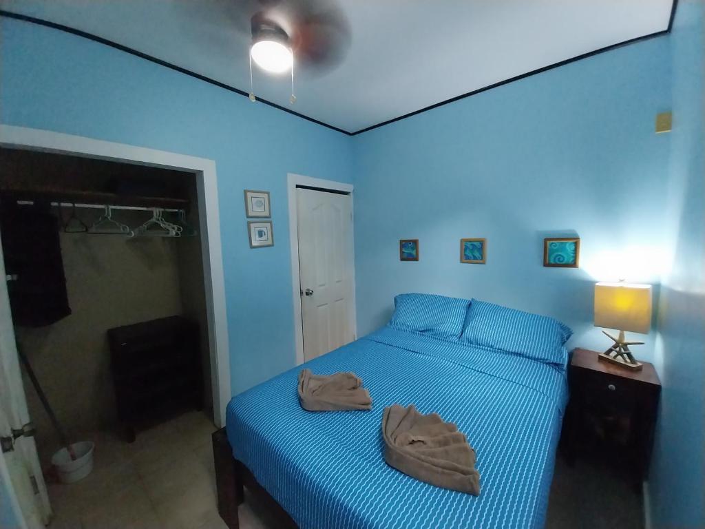 Roatan Backpackers' Hostel photo 4