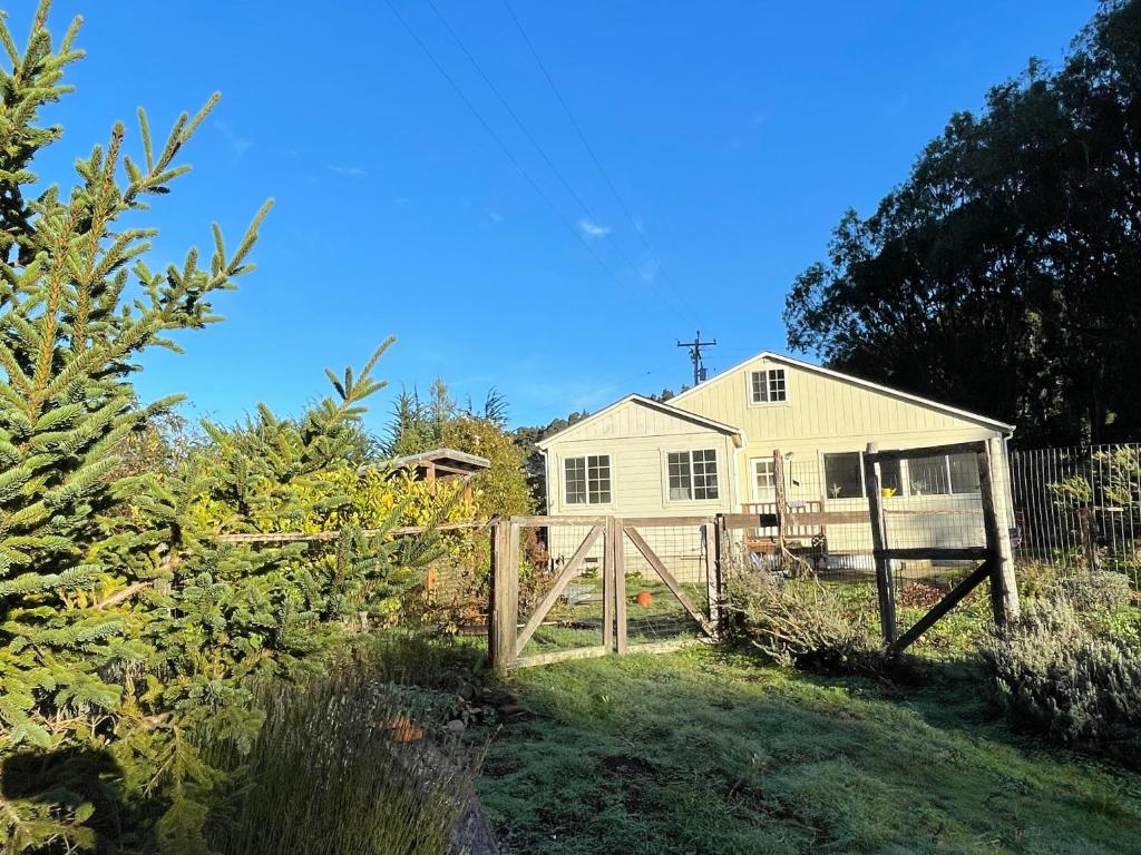The Albion Haus photo 2