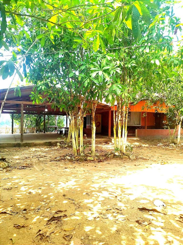 Casa de férias e camping photo 1