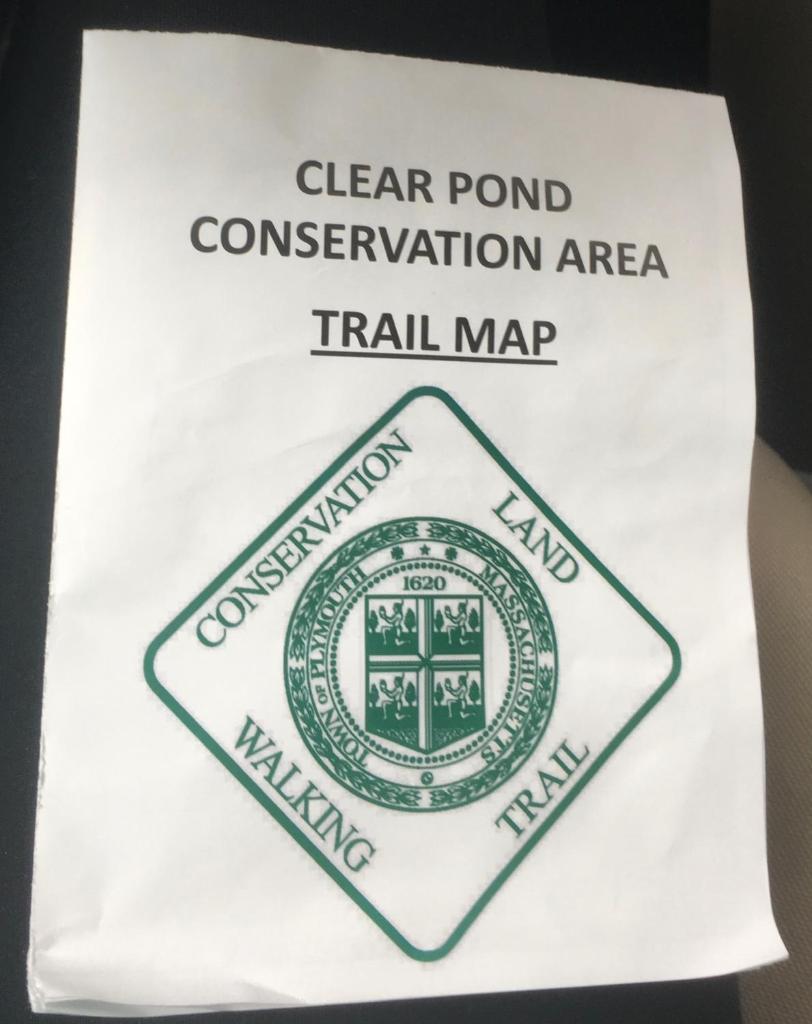 Clear Pond Suite photo 2