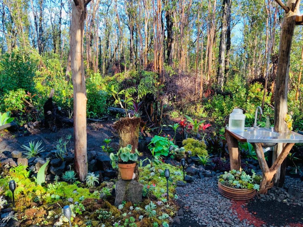 Exotic Garden cottage at amazing volcano fissure
