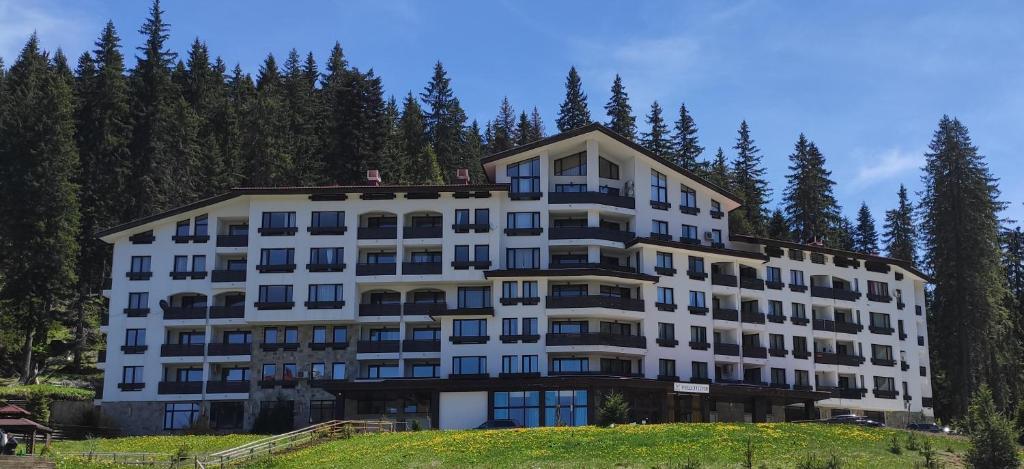 Forest Dream Apartment - Elit Pamporovo photo 1