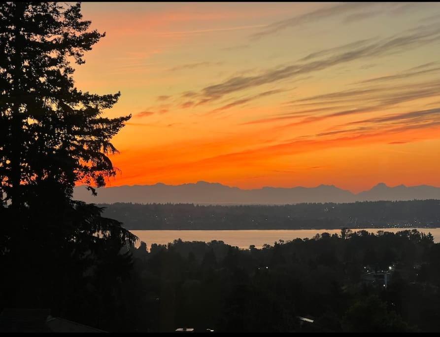 Seattle Private Resort photo 1