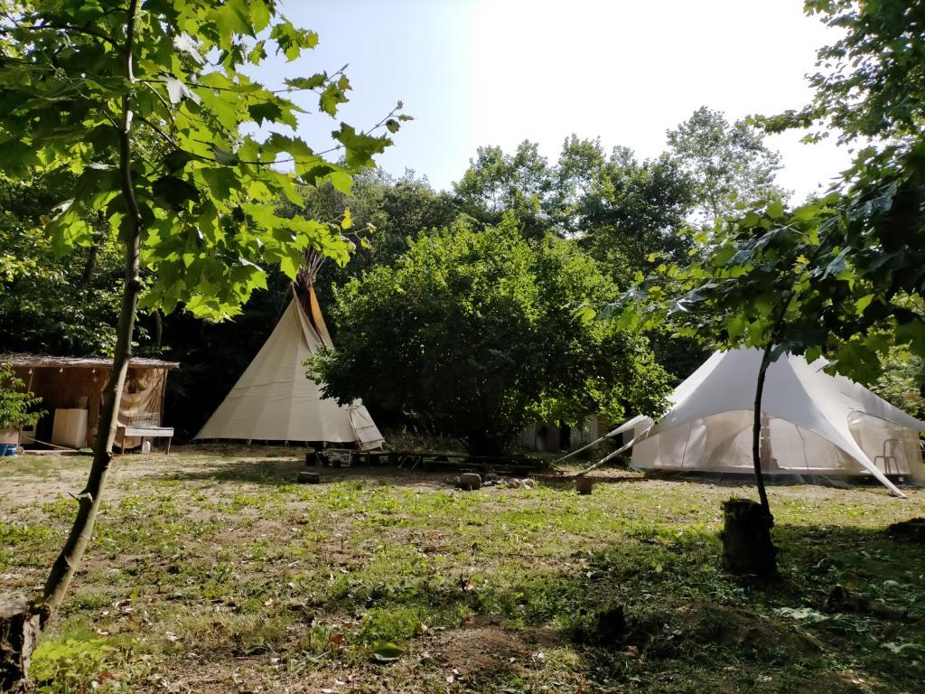 Albergue del Oso TierraLuz photo 2
