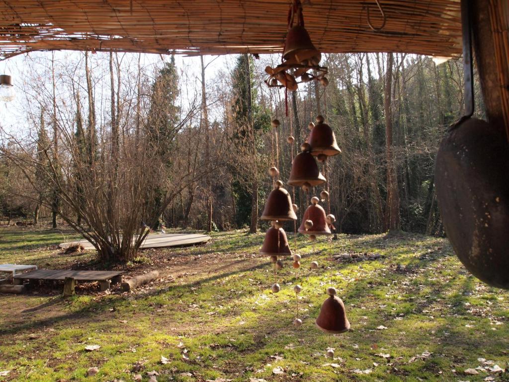 Albergue del Oso TierraLuz photo 4