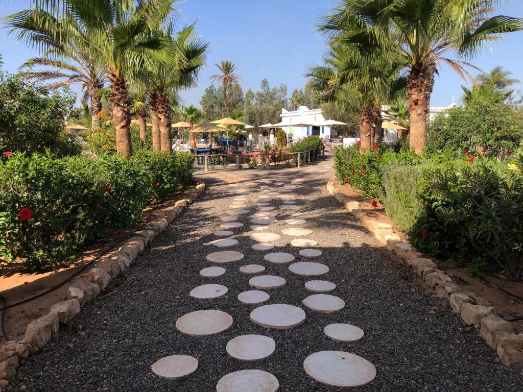 Camping la palmeraie Tifnit photo 4