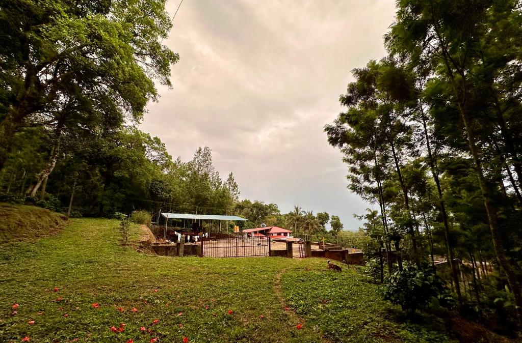 Coffee Island Homestay photo 1
