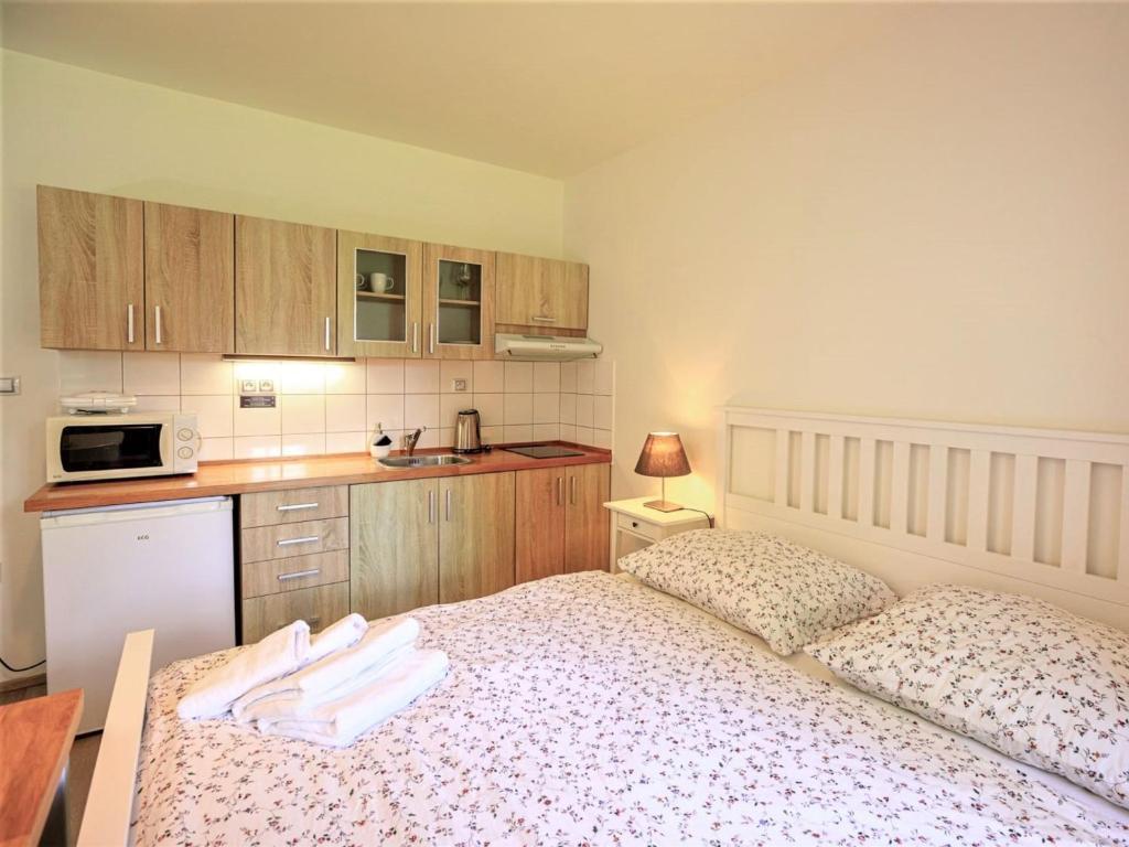 Apartment Arnoltice 3 by Interhome photo 2