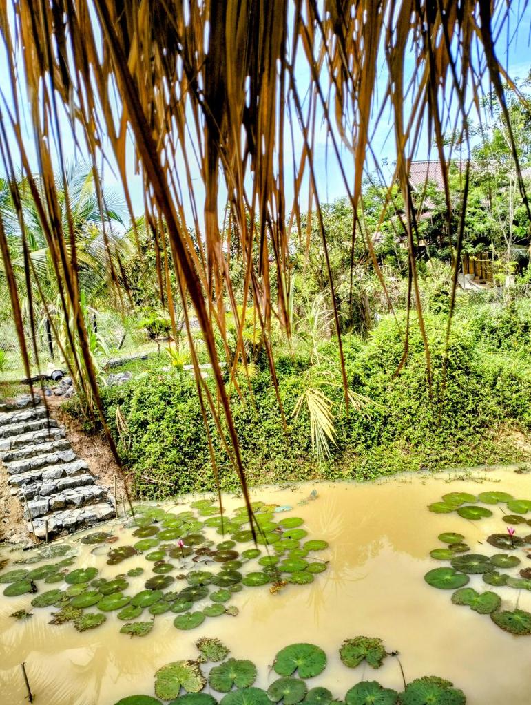 Banteay Srey Women's Only Traditional Spa and Homestay photo 2