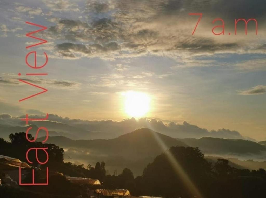Kensington Sunrise sg, Palas Horizon,kea farm photo 4