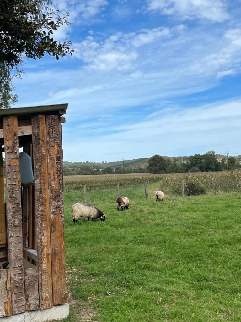 La bergerie du padu