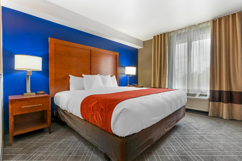 Comfort Suites Redding - Shasta Lake photo 3