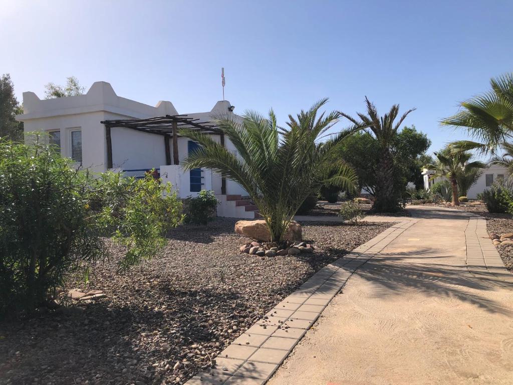 Camping la palmeraie Tifnit photo 2