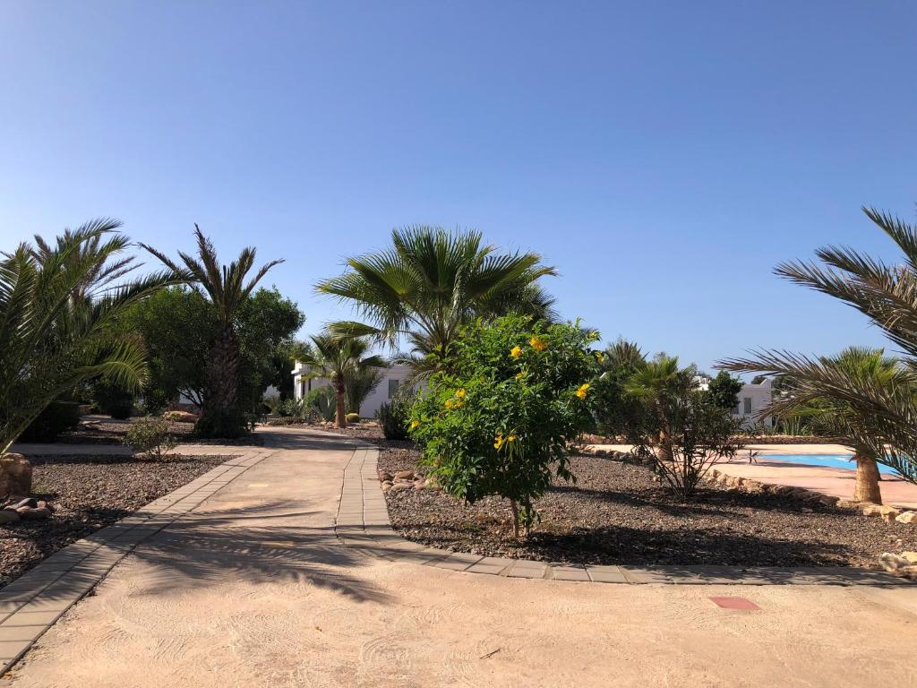 Camping la palmeraie Tifnit photo 1
