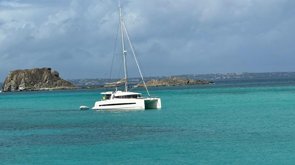 Zephyr Catamaran, your private cruise photo 1
