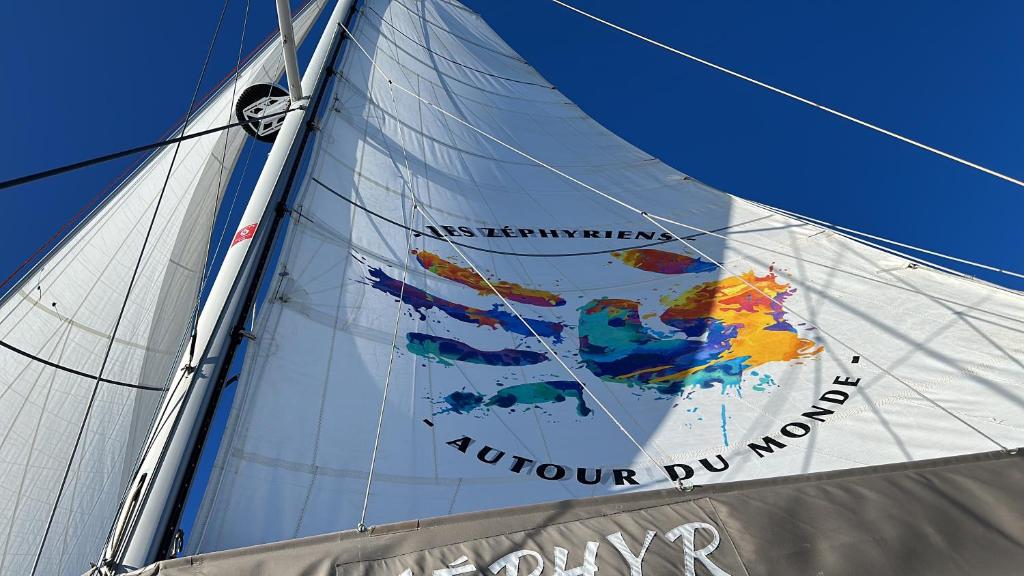 Zephyr Catamaran, your private cruise photo 2