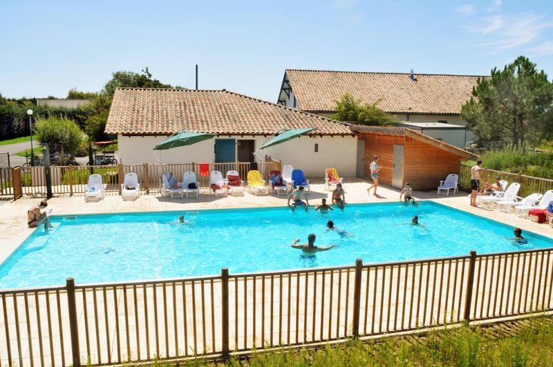 La palombe