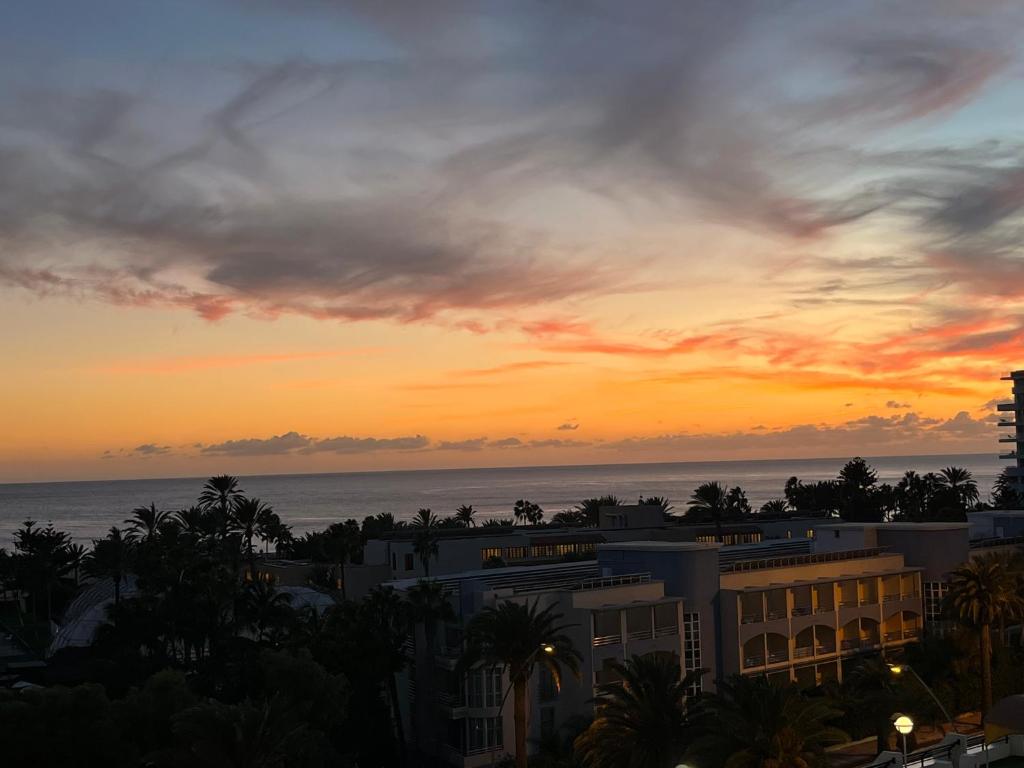 Palm Garden ATLANTIC VIEW photo 4