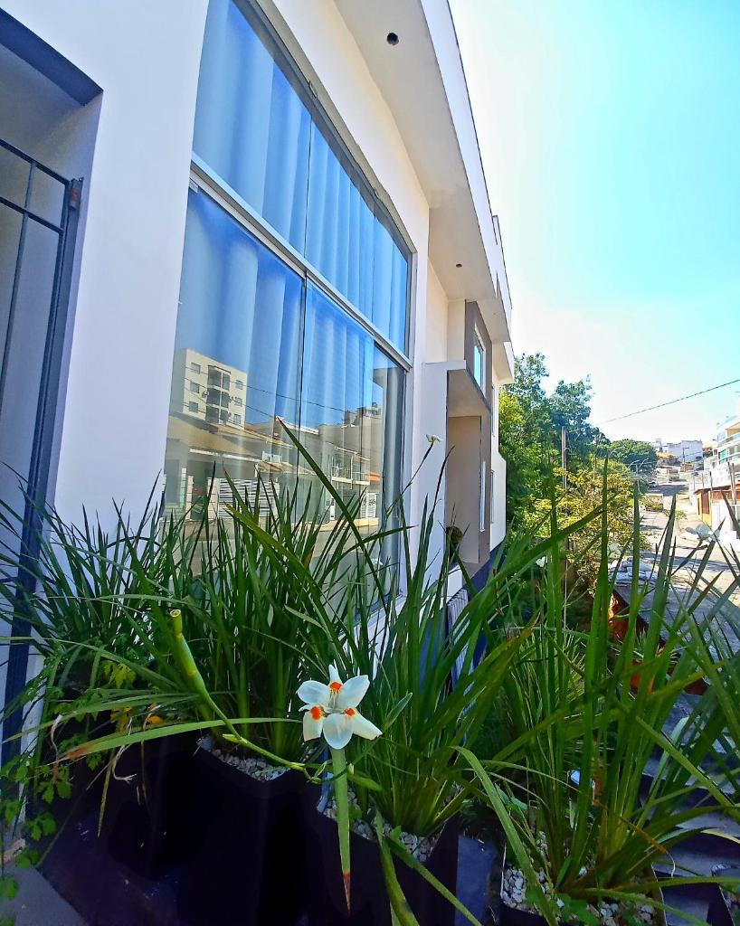 Pousada Flor de Lis Homestay photo 2