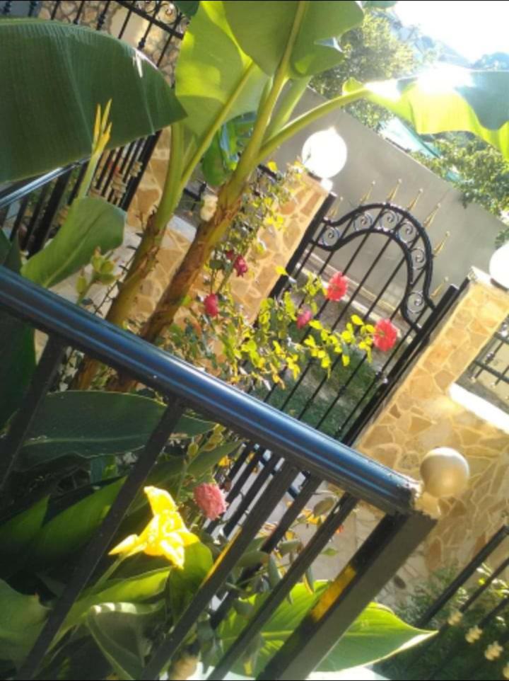Apartments Anyfantis photo 1