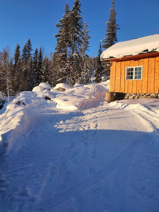Nytt anneks med fantastisk utsikt over Hallingdal. photo 1