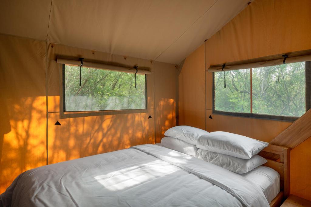 Campizo Glamping - Monterrey X NANTLI LIVING photo 3