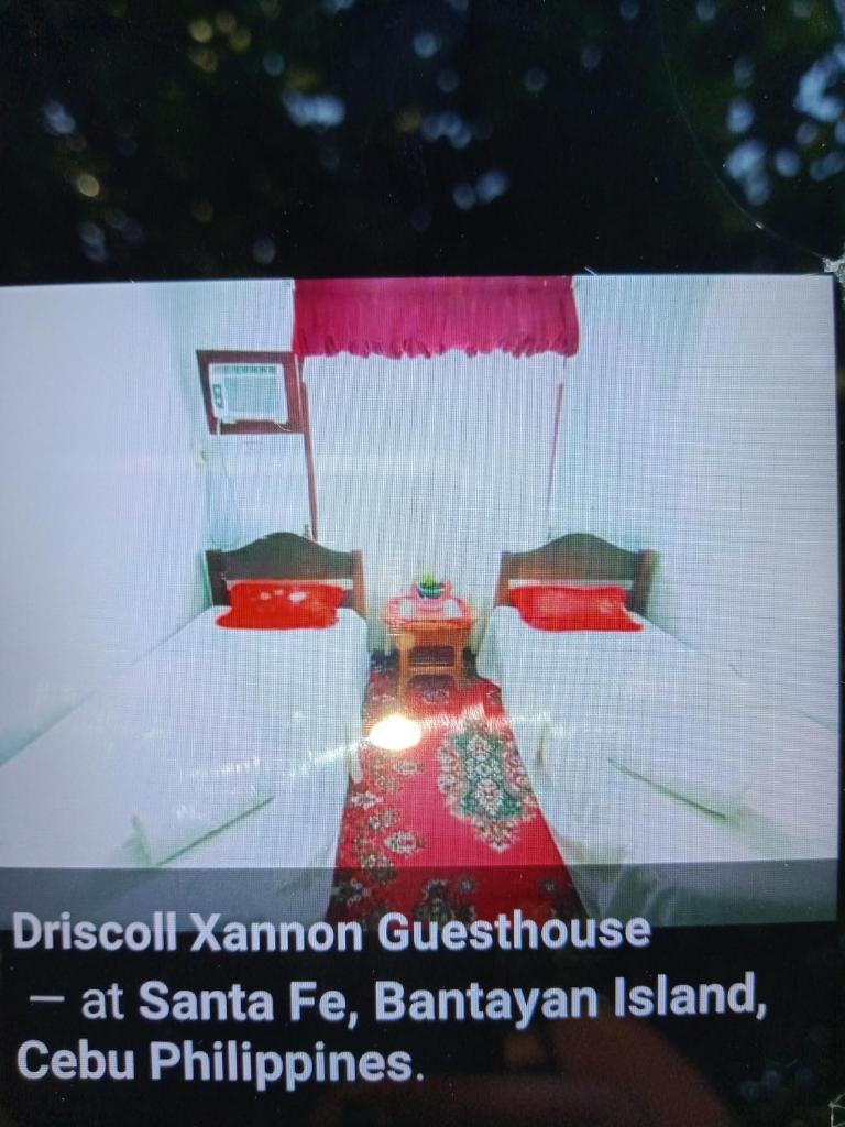 Driscoll Xannon GuestHouse photo 3