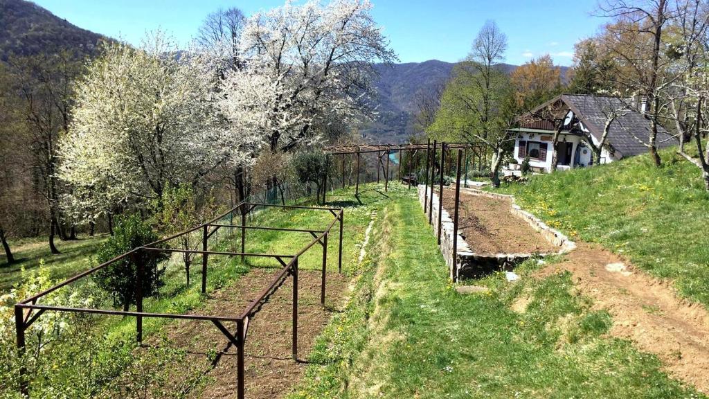 Vilijev Raj, a property with cottage in the countryside photo 1