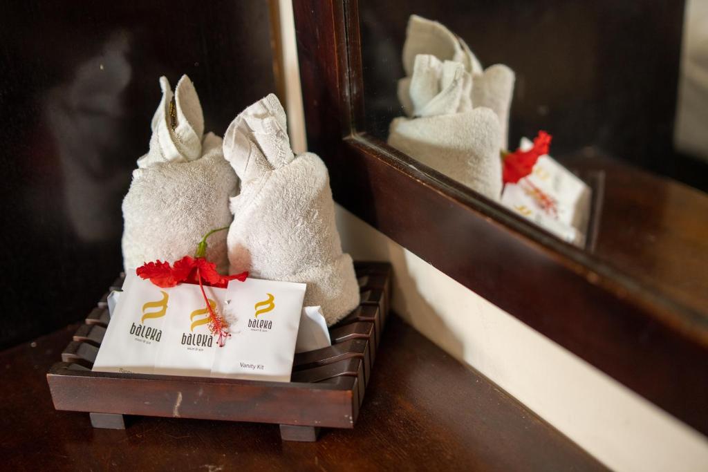 Baleka Resort & Spa Room Type - Superior Room Double Bed