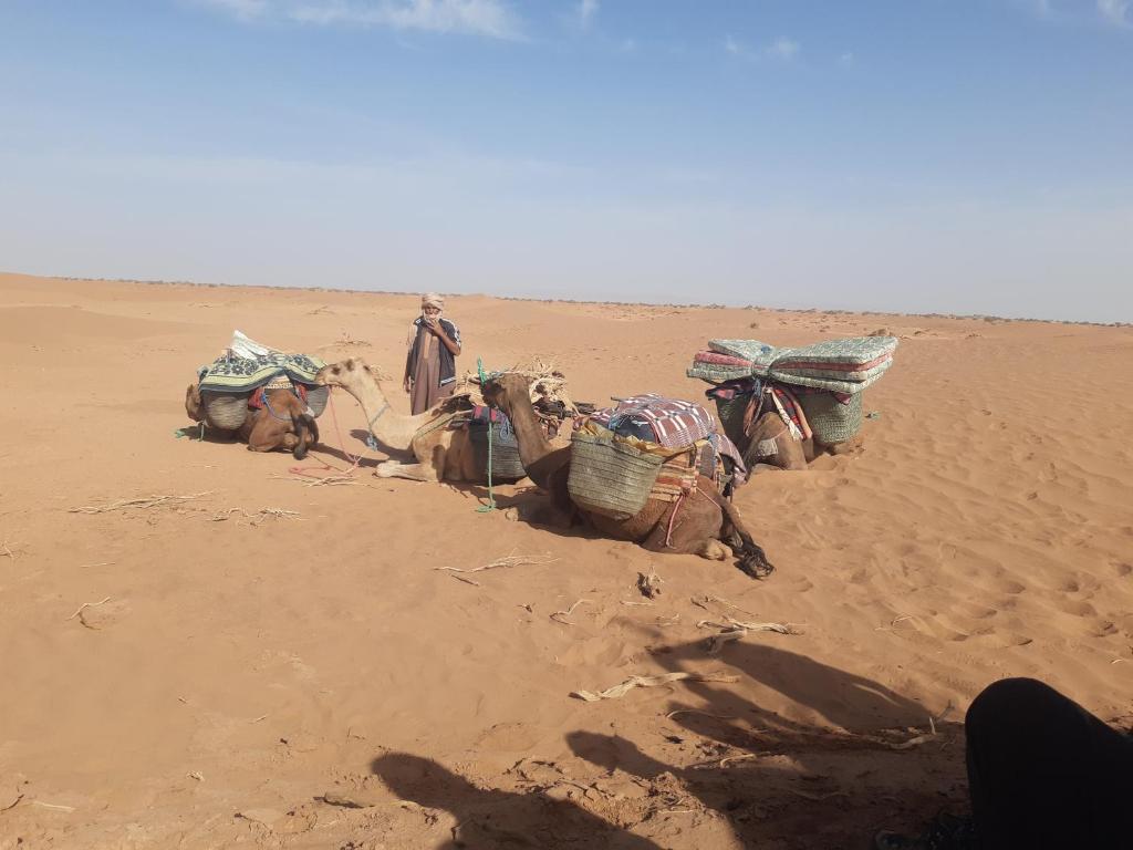 Camp Mhamid Sahara Tours photo 3