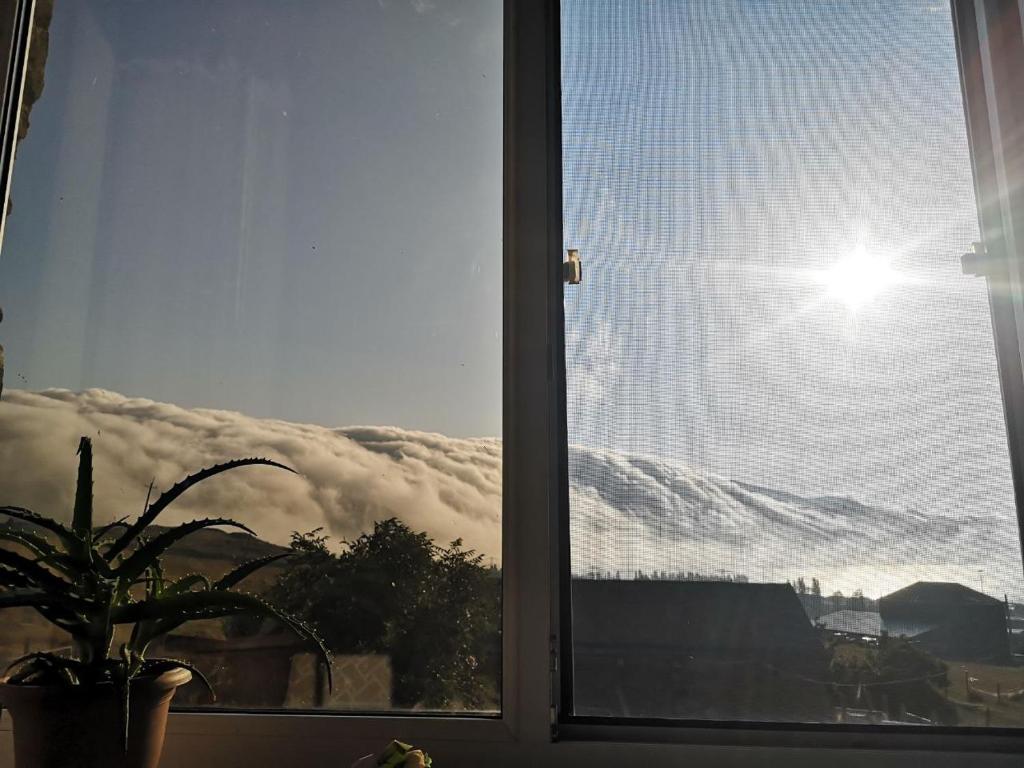 Guesthouse Rabbit photo 1