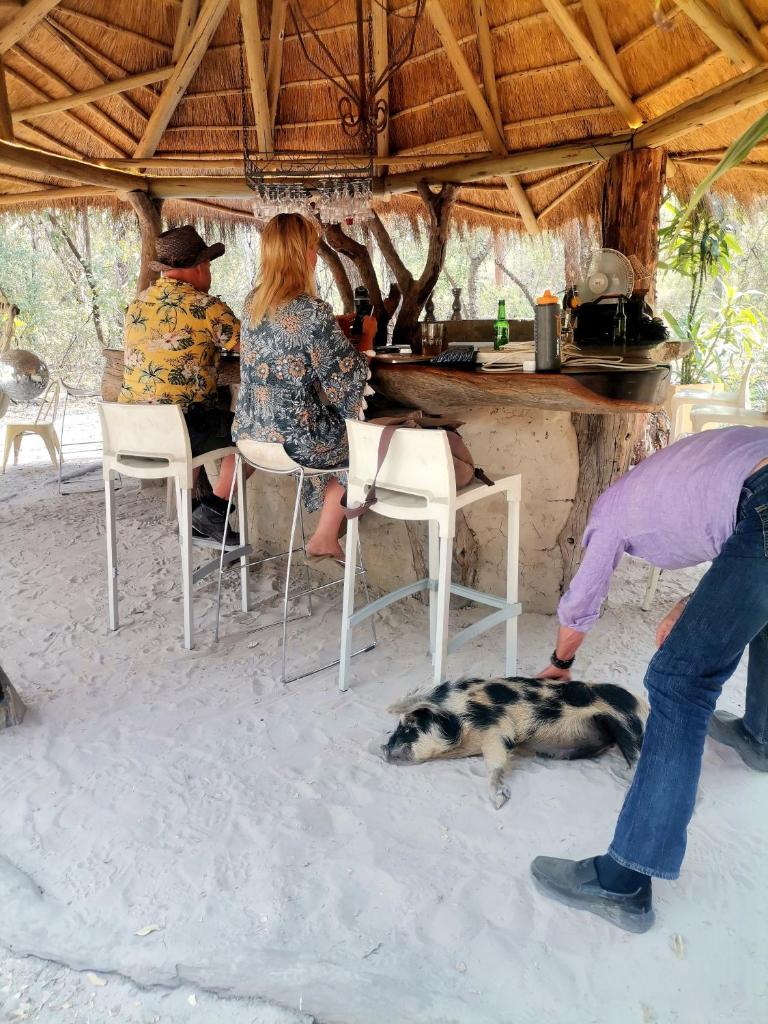 The Tshilli Farm & Lodge photo 3