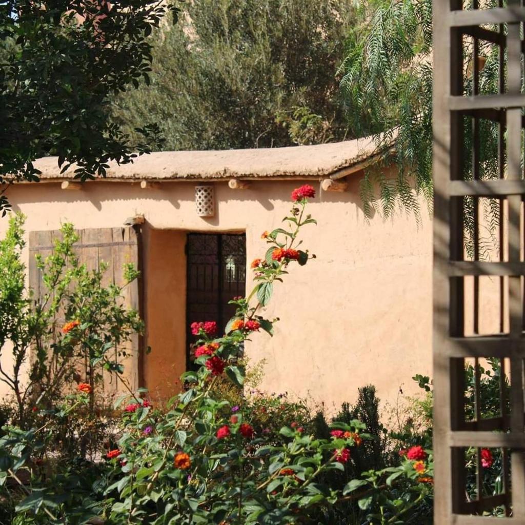 Riad El Koudia photo 4