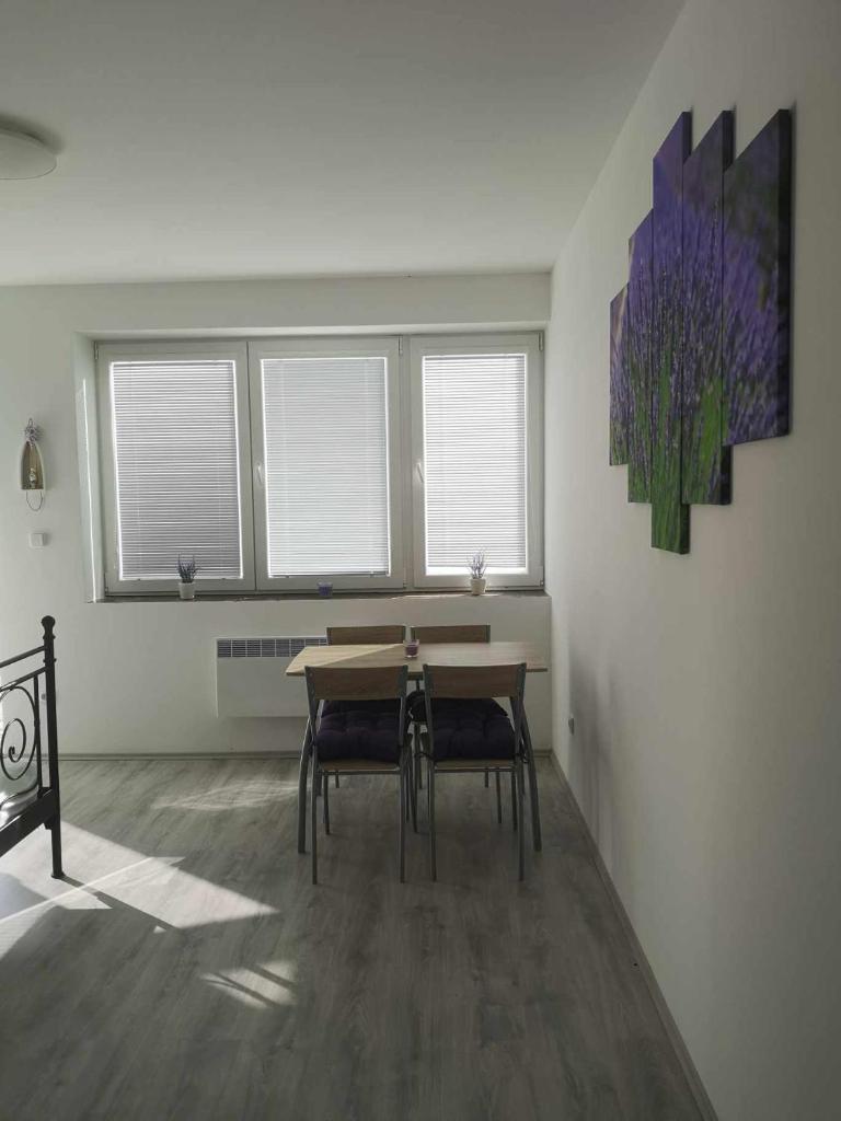 Apartmán U vody photo 2