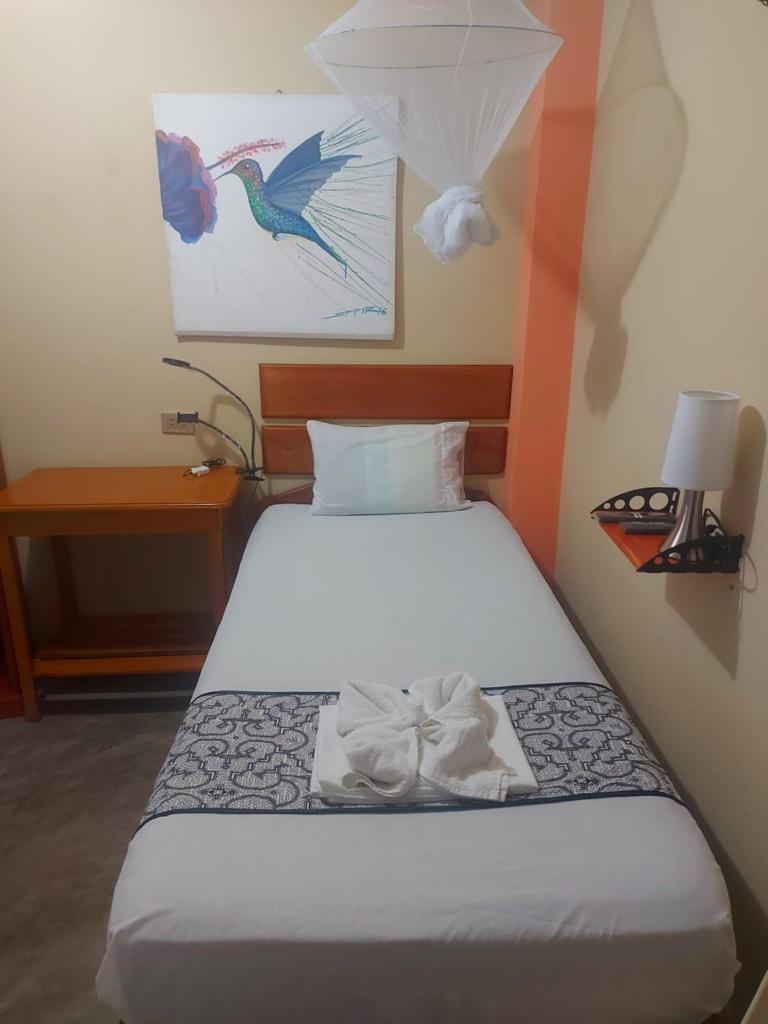 Amazon House Hostel photo 4