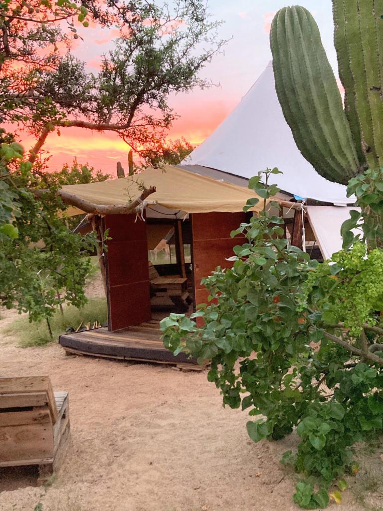 BCS BuenaOnda sea view bell tent photo 1