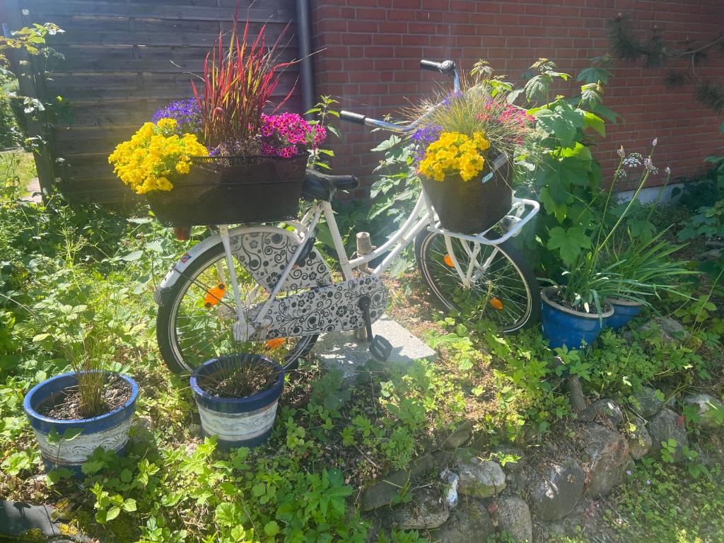 SEGELund - Zeit für uns- ruhige und sonnige Ferienwohnung mit Terrasse und Garten nahe Strand und Ostsee photo 4