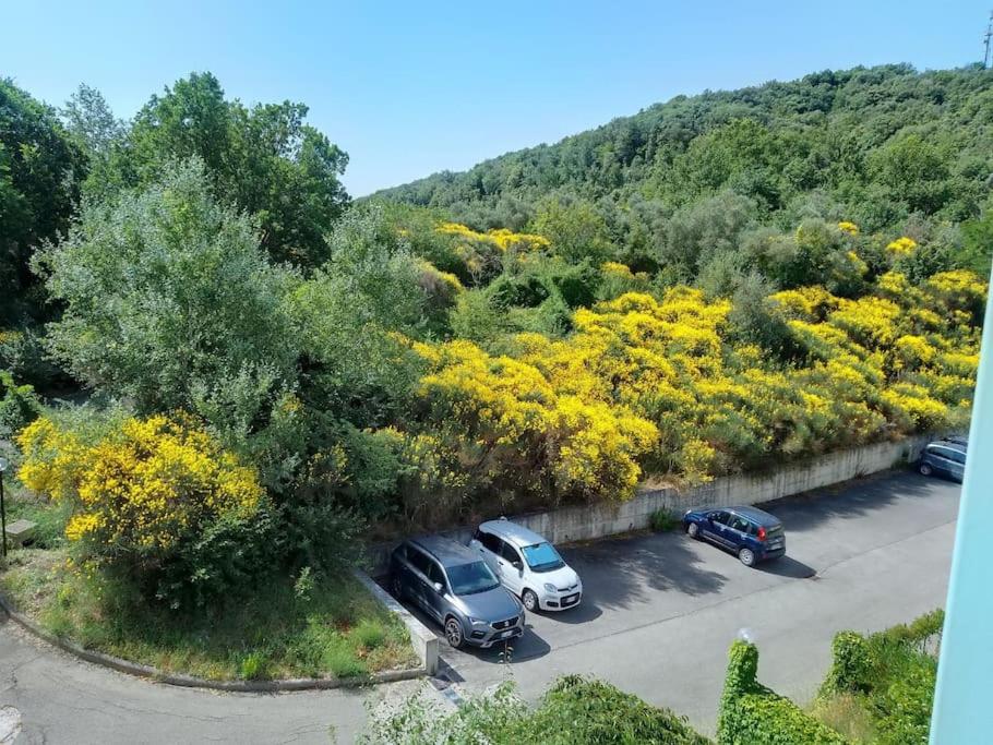 Appartamento Ameria photo 1