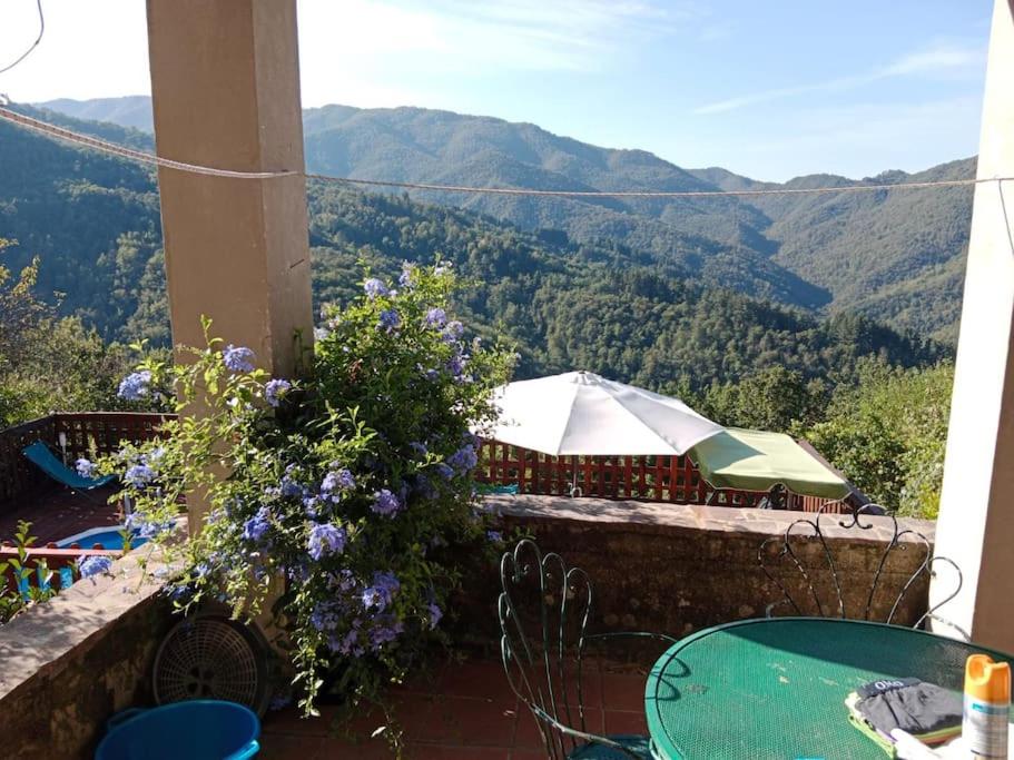 Preciosa casa en la Toscana con piscina photo 2