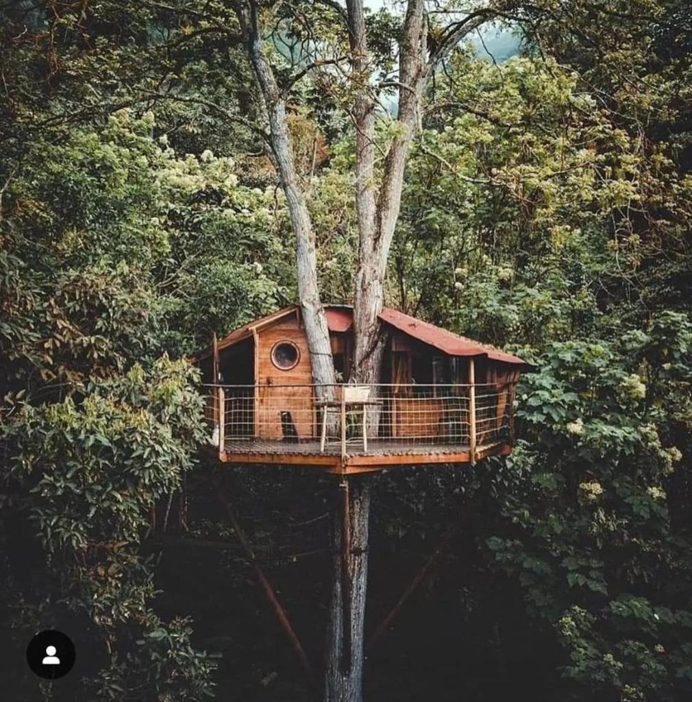 Casa del Árbol photo 2