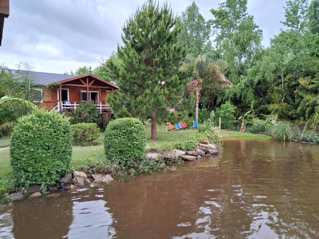 Cabaña “Juancho”(Canal Arias,Tigre) photo 1