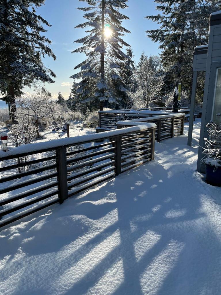 Forest by the Sea Rentals photo 2