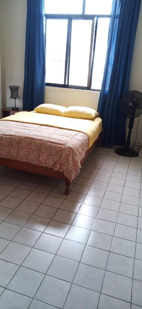 Hostal Iberia photo 3