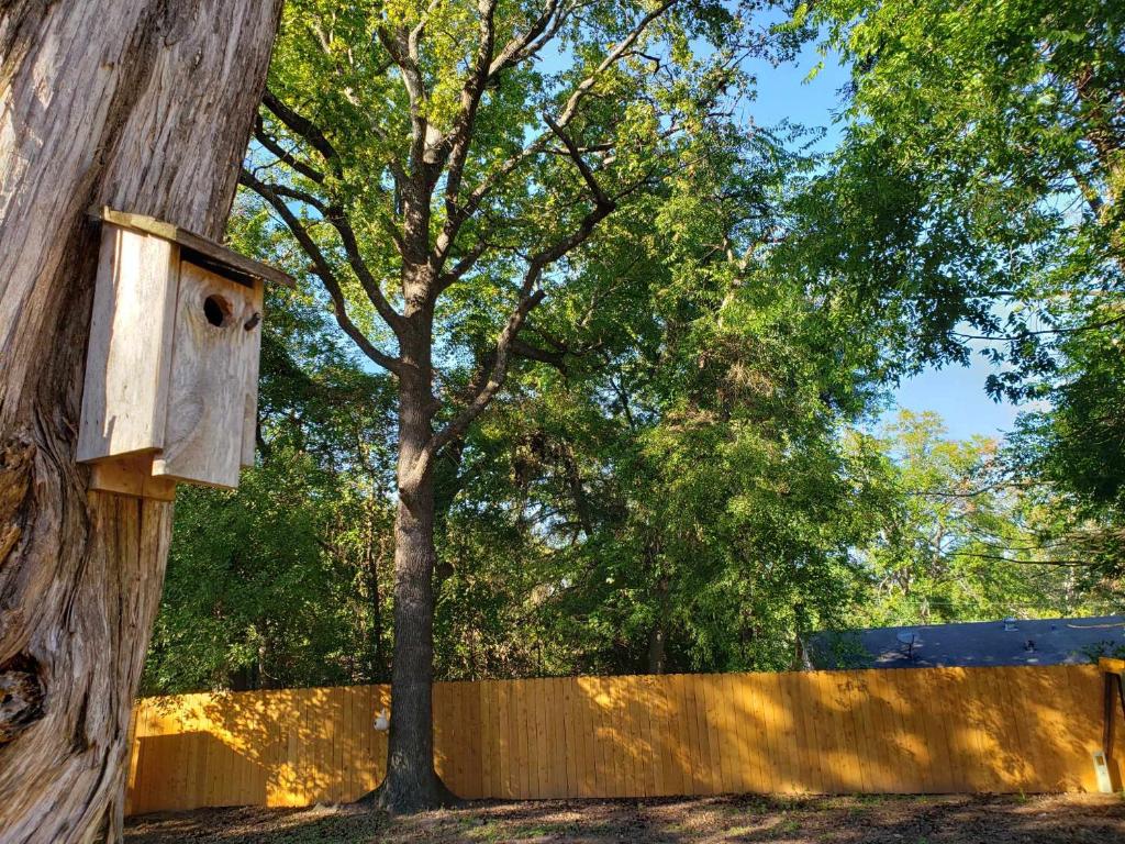 Midtown Southern Charm photo 4