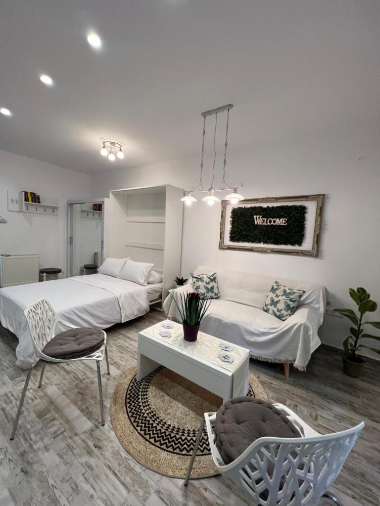 Selenity studio(close to two metro stations) - Tap to explore photos