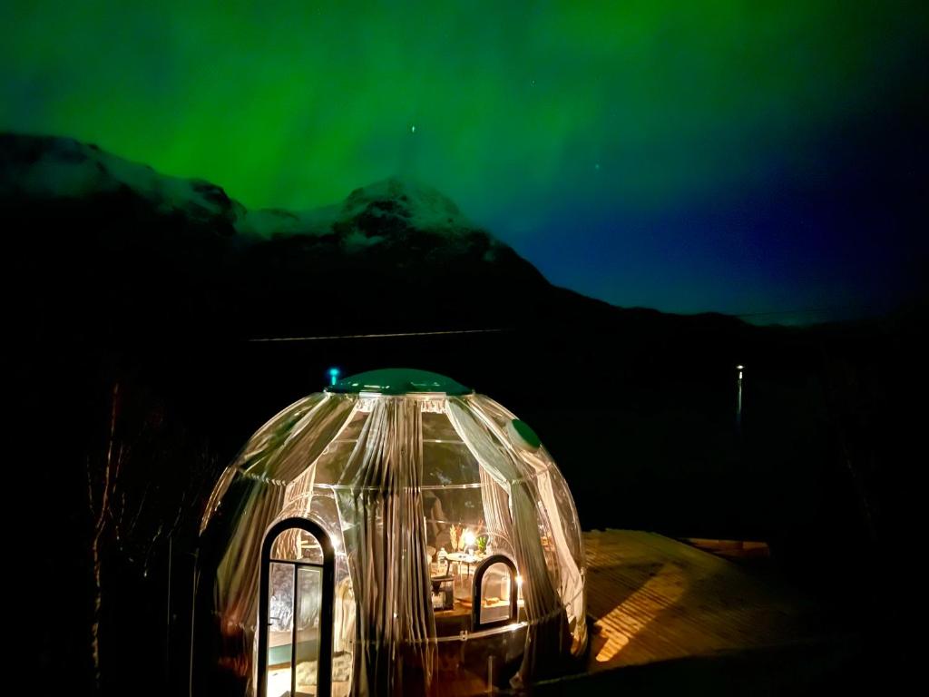 Lofoten glampingdome photo 2