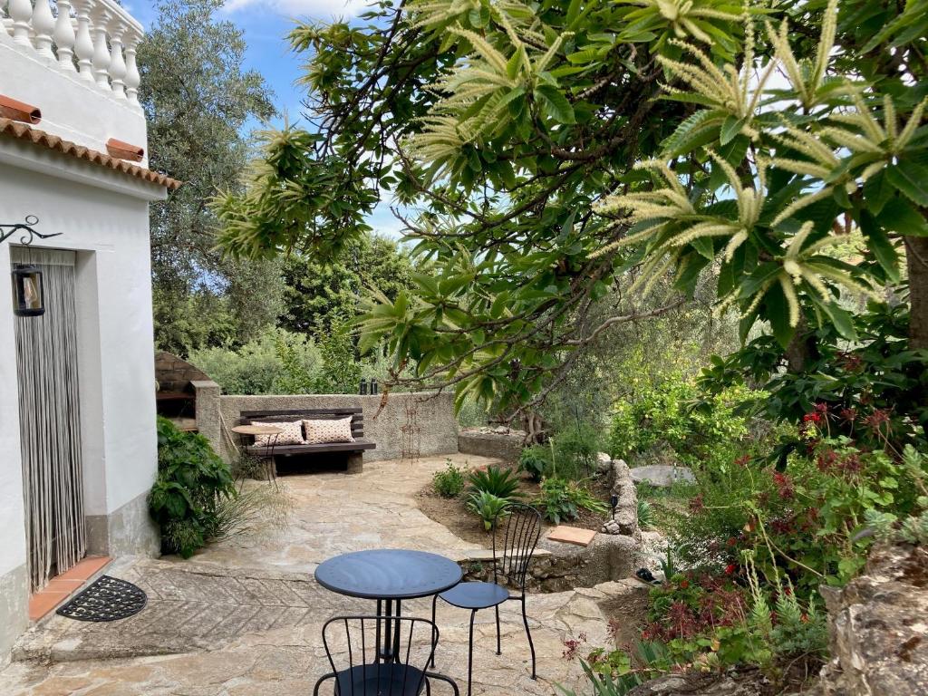 Casita La Pura Vida Yunquera photo 1